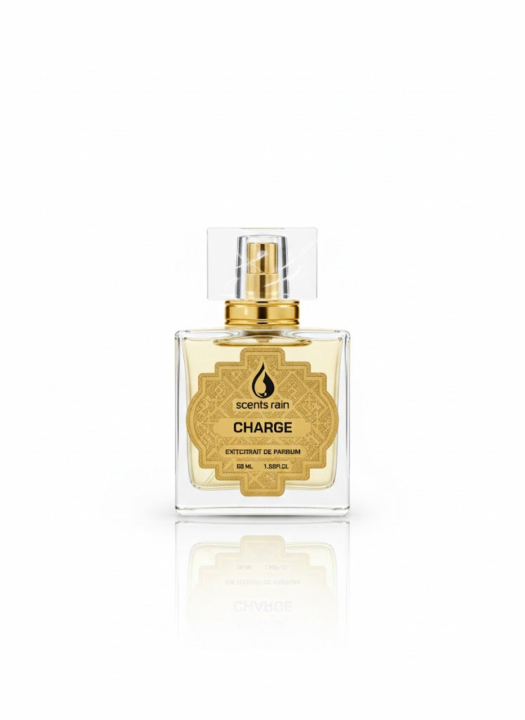 CHARGE INPIRED BY SAUVAGE DIOR