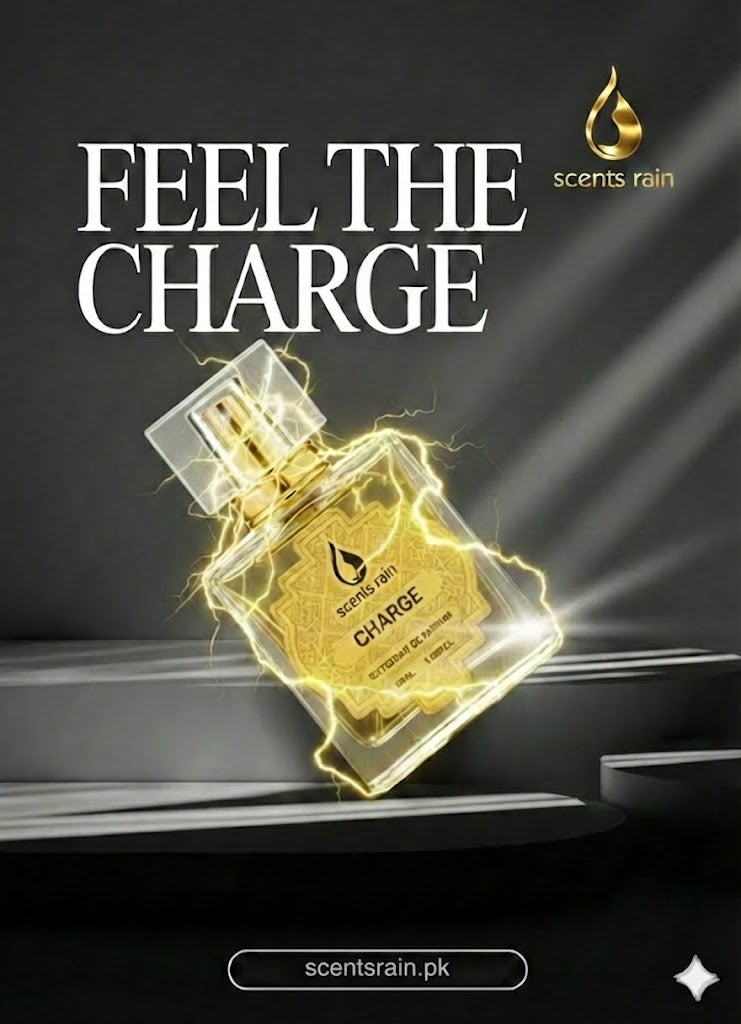 CHARGE INPIRED BY SAUVAGE DIOR